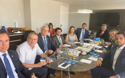 SINPROFAZ SEDIA REUNIÃO DO MOVIMENTO NACIONAL PELA ADVOCACIA PÚBLICA