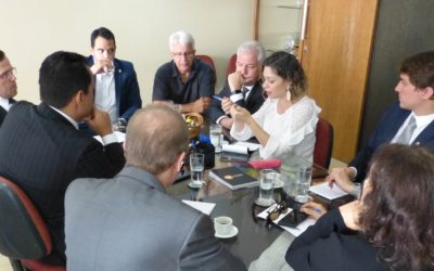 ATUAÇÃO CONJUNTA PAUTA REUNIÃO DO MOVIMENTO NACIONAL PELA ADVOCACIA PÚBLICA